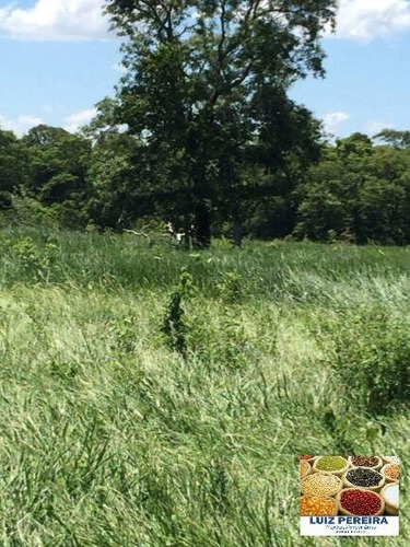 Imagem 6 de 9 de Fazenda À Venda Em Recursolândia -t0 - 3998 Hectares (dupla Aaptidão) - 1592