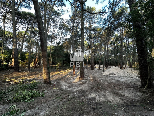 Terreno En Portezuelo Bosque, Punta Ballena - Ref : Pbi12598