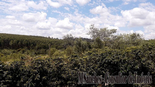 Imagem 4 de 15 de Linda Chacara A Venda Em Araçoiaba Da Serra, No Bairro Aparecida - 03018