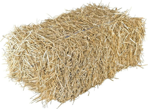 Paca De Paja De Avena Para Cultivo De Hongos Comestibles
