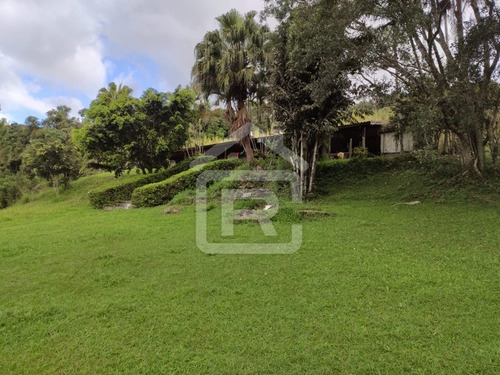 Imagem 24 de 30 de Excelente Sitio Com Topografia Plana, Rico Em Aguá - 12 - 69839868
