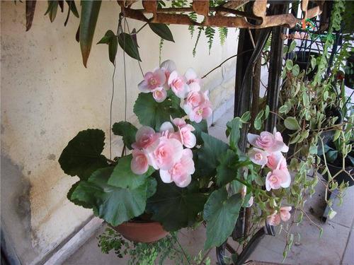 Chácara Em Araçoiabinha, Araçoiaba - Ch0027
