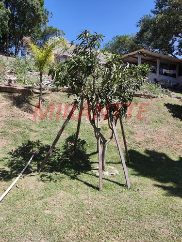 Imagem 19 de 27 de Chácara Em Mato Dentro - Mairiporã, Sp - 371090