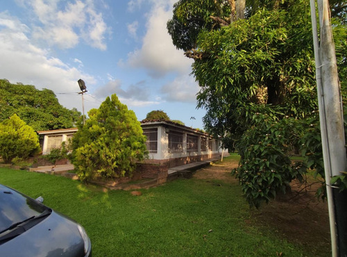 Imagen 18 de 25 de Espectacular Finca En Bejuma Alto De Reyes Carabobo Jc-lp