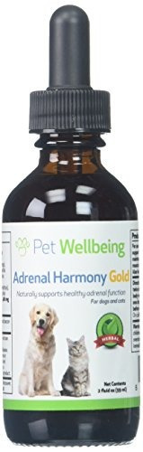 Pet Wellbeing Adrenal Harmony Natural Support Para La Disfun
