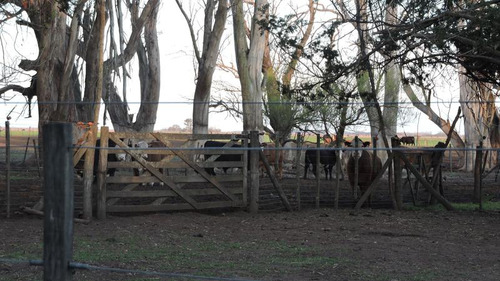 Campo Armado En Venta De 300 Has En Bolivar