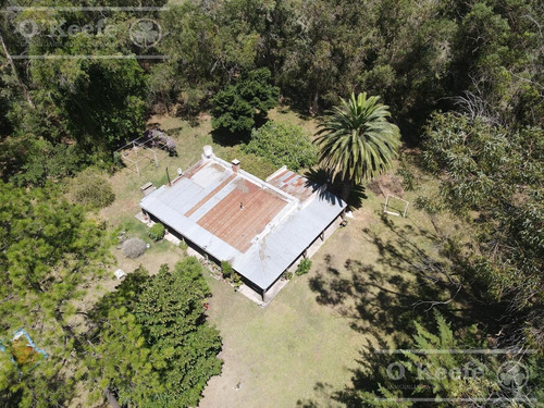 Imagen 4 de 17 de 5 Has En Veronica - Chacra En Venta Con Importante Arboleda