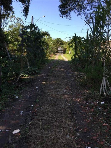 Imagem 3 de 8 de Terreno - Venda - Santa Terezinha - Itanhaem - Ita2323