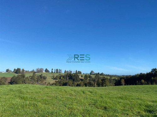 Terreno Construccion En Venta En Los Muermos