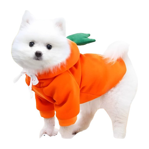 Disfraz De Zanahoria Para Perros Y Gatos | Disfraz Halloween