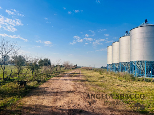 Excelente Campo Agrícola/ganadero!.