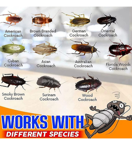 Poderosa Isca De Gel Para Baratas, Roach Trap Master, Isca