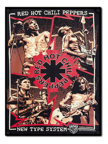 #1393 - Cuadro Decorativo - Red Hot Chilli Peppers Poster 