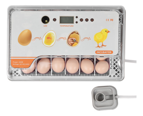 Incubadora Brooders Para Pollo, 20 Huevos, Temperatura, Luz