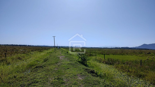 Imagem 28 de 30 de Fazenda Localizada Em Iguape- Sp Com 280 Alqueires - 262 - 71153412