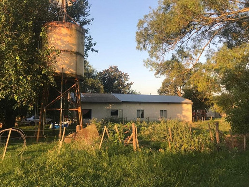 Imagen 15 de 30 de Campo De 173 Hectáreas - Gral. Las Heras - Buenos Aires