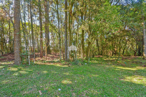 Imagem 7 de 21 de Área - Comercial/residencial - 932545