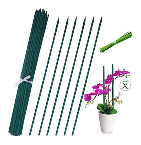 Blue Top Estacas De Bambu Verde Para Plantas De Jardin De 13