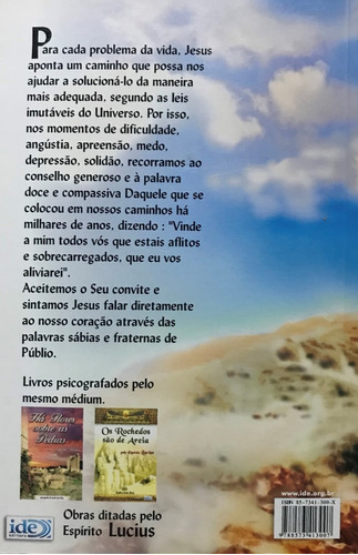 Jesus no teu caminho: Não se aplica, de André Luiz Ruiz., vol. Único. Editorial IDE, capa mole, edição 1 em português
