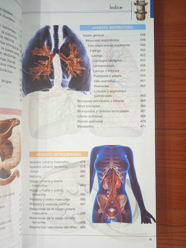 Atlas De Anatomía Student Master (nuevo)