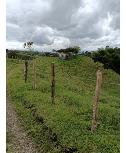 Venta Finca Filandia A Borde De Carretera - 20 Cuadras