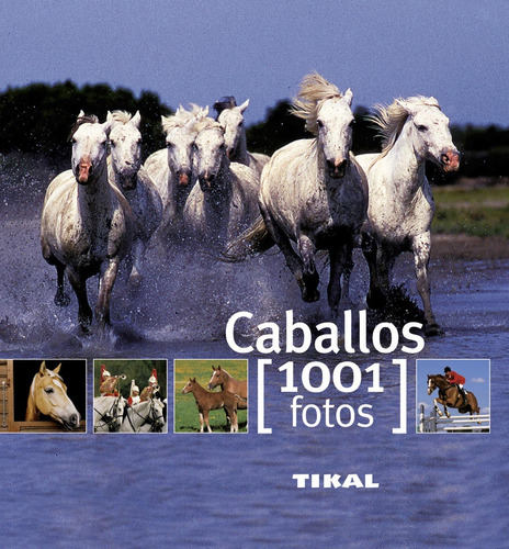 Caballos - Aa.vv