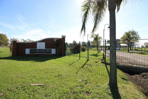 Venta, Lote 1971 M2. La Amanecida, Ex. De La Cruz.