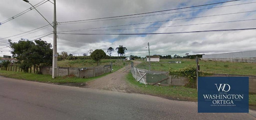 Imagem 6 de 7 de Área À Venda, 36453 M² Por R$ 18.000.000 - Planta Quississana - São José Dos Pinhais/pr - Ar0030
