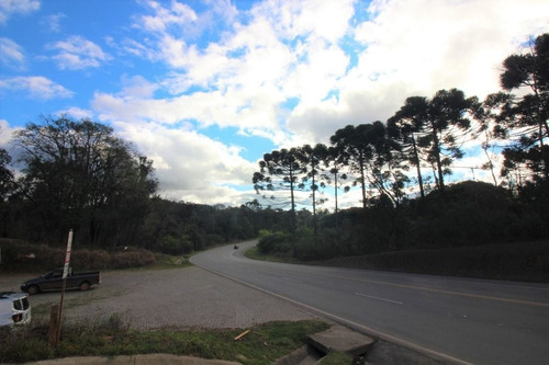 Imagem 4 de 13 de Terreno À Venda, 2500 M² Por R$ 960.000,00 - Centro - Campo Magro/pr - Te0364
