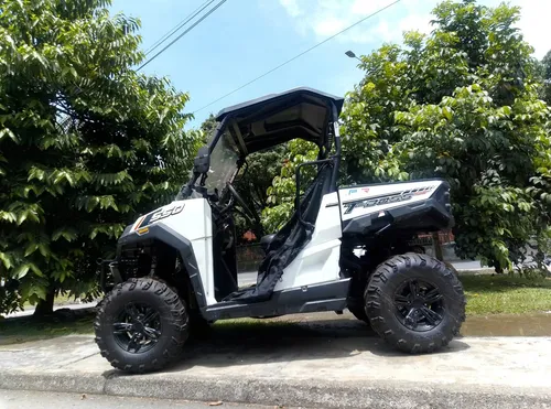 Buggie 550cc 4x4 Usado