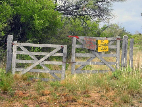 Imagen 4 de 25 de Excelente Campo Nativo De 103ha La Venta En Ojo De Agua!