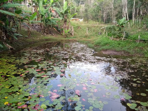 Belíssima Chácara De 5000m²