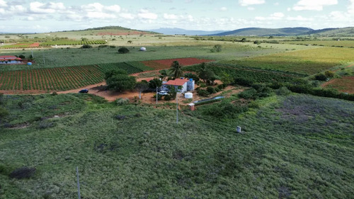 Oportunidade Única! Sítio De 12 Hectares Porteira Fechada -