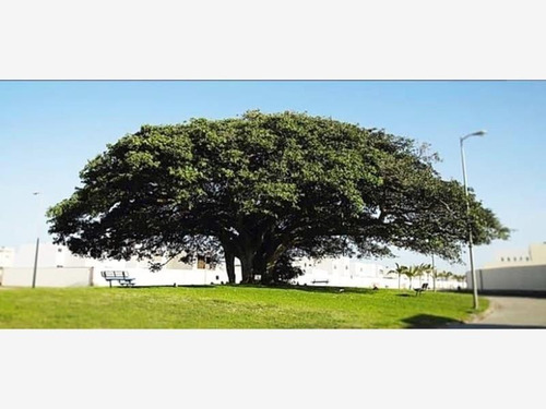 Imagen 7 de 7 de Terreno En Venta Lomas De La Rioja