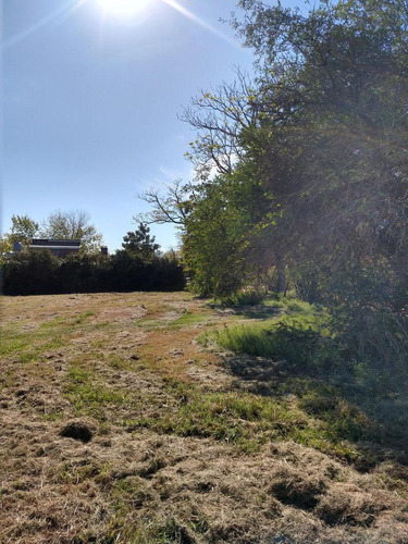 Imagen 5 de 5 de Terreno - Pueblo General Belgrano