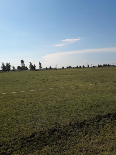 Terreno En Venta - 12000mts2 - Chacras De Abbott, San Miguel Del Monte