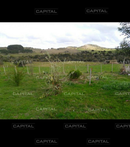 Campo De 39 Hectareas En Venta En Aiguá- Ref: 29901
