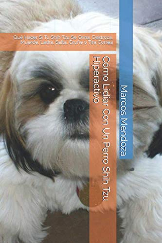 Como Lidiar Con Un Perro Shih Tzu Hiperactivo: Que Hacer Si