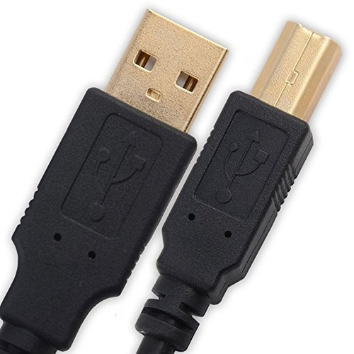 Oro De 10 Pies De Largo Plateado Hispeed ¿¿usb 2.0 Cable De 