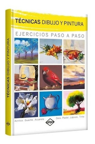 Libro Técnicas Dibujo Y Pintura