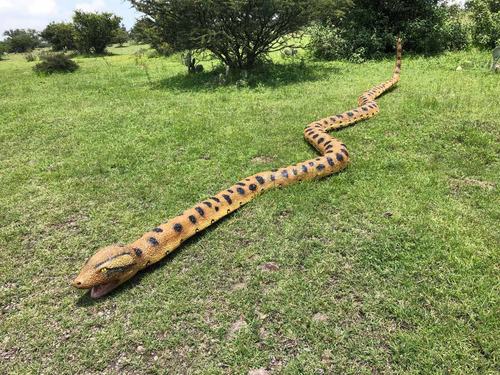 Animales Disecados 100% Artificiales VĂbora Anaconda