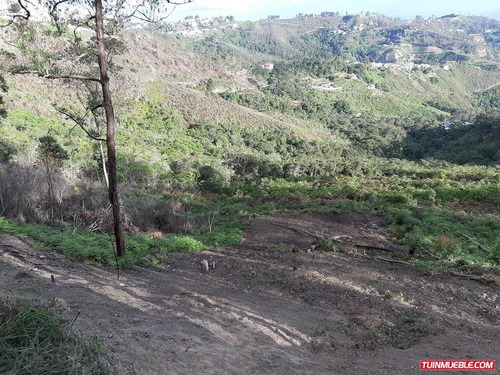 Imagen 3 de 12 de Venta De Terreno En San Antonio De L Altos Club De Campo Rz