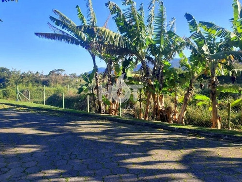 Imagem 6 de 11 de Terreno Para Vender No Pântano Do Sul, Condomínio Fechado, Florianópolis - 2643