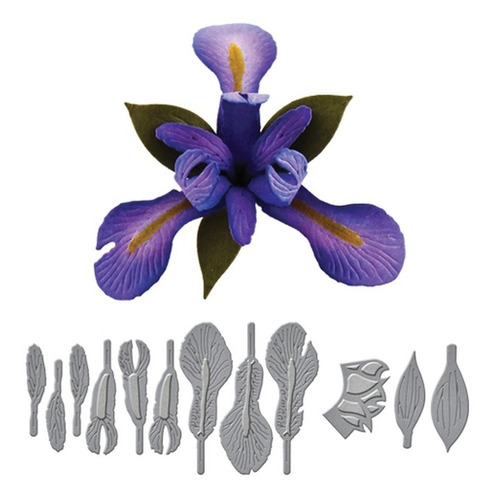 Imagem 1 de 1 de Shapeabilities Create An Iris Etched Dies