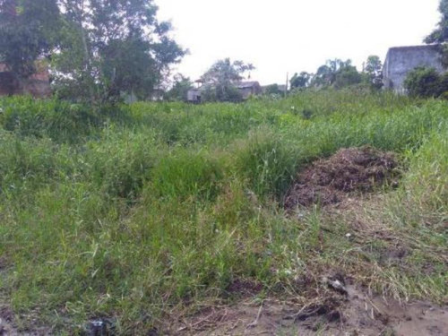 Terreno De 286 Mts No Gaivota Em Itanhaém Litoral|5157 - Npc