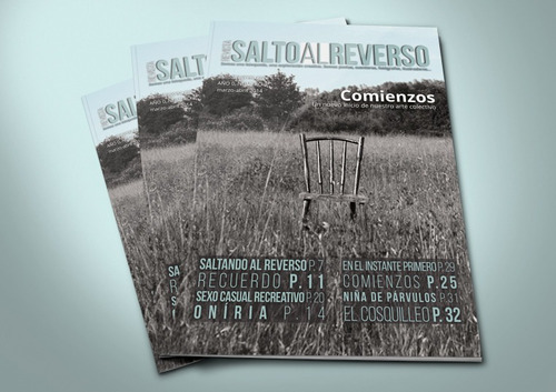 Revista #1 Salto Al Reverso (impresa)