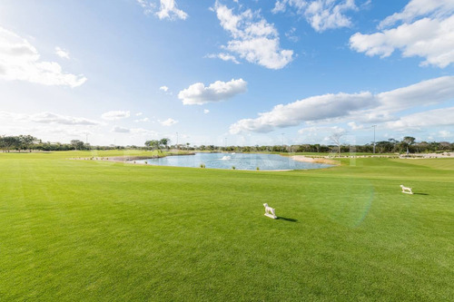 Imagen 3 de 30 de Lotes Residenciales Con Campo De Golf En Mérida Yucatán