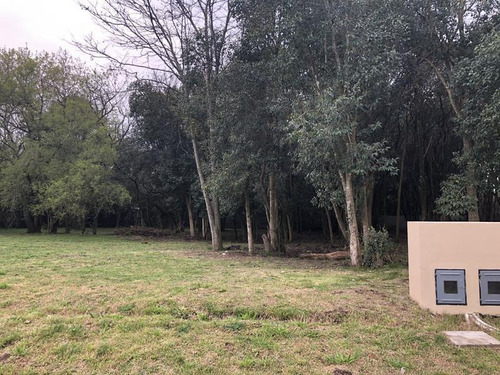 Terreno - Villa Elisa