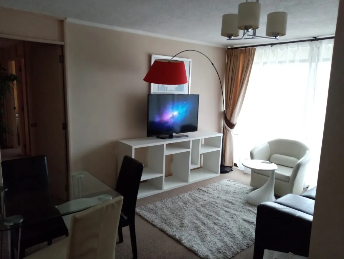 Imagen 3 de 14 de Se Arrienda Departamento Amoblado En Providencia 2 Dormitori