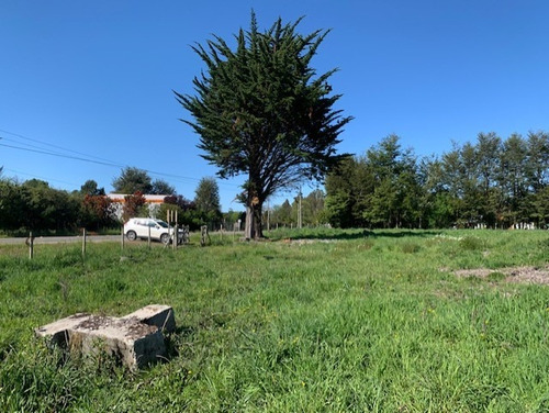 Parcela D 12.000 M2, A 4 K Del Centro, Cabo Blanco Valdivia